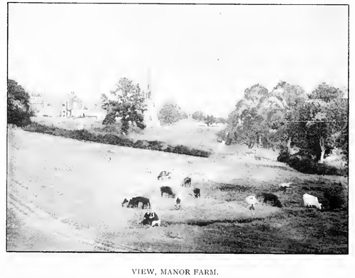 View, Manor Farm