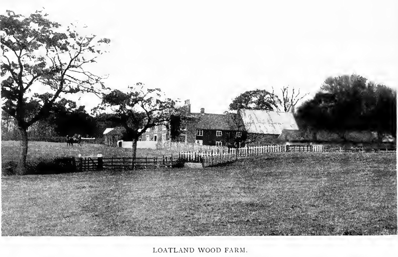 Loatland Wood Farm