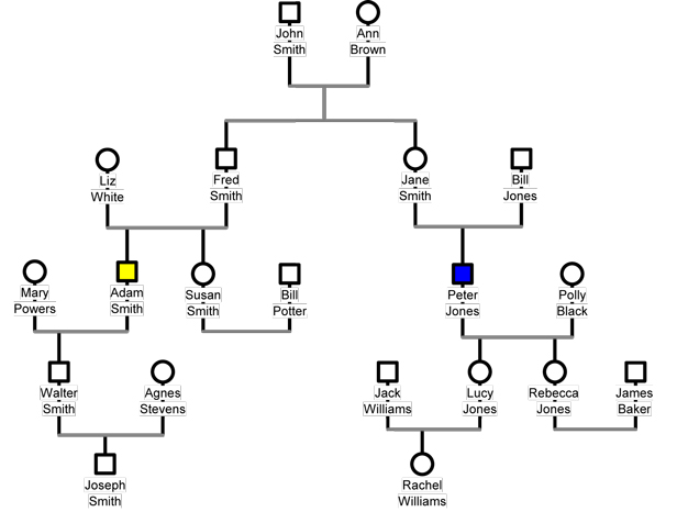 specimen family tree